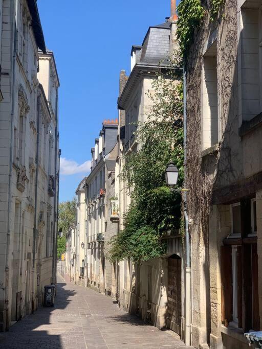 Hotel Robin Quantin In The Heart Of Old Tours Bagian luar foto